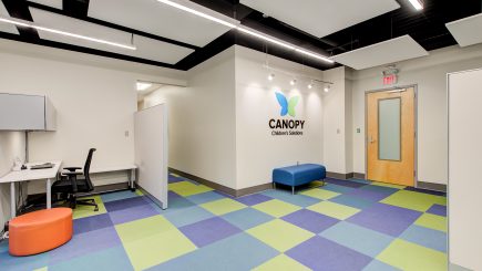 Canopy Children’s Solutions Center of Excellence