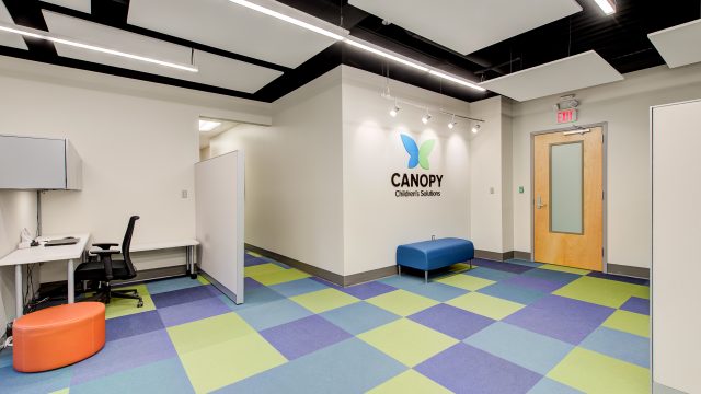 Canopy Children’s Solutions Center of Excellence